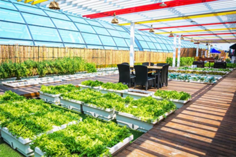 Encina Jardinería y Floristería S.L.