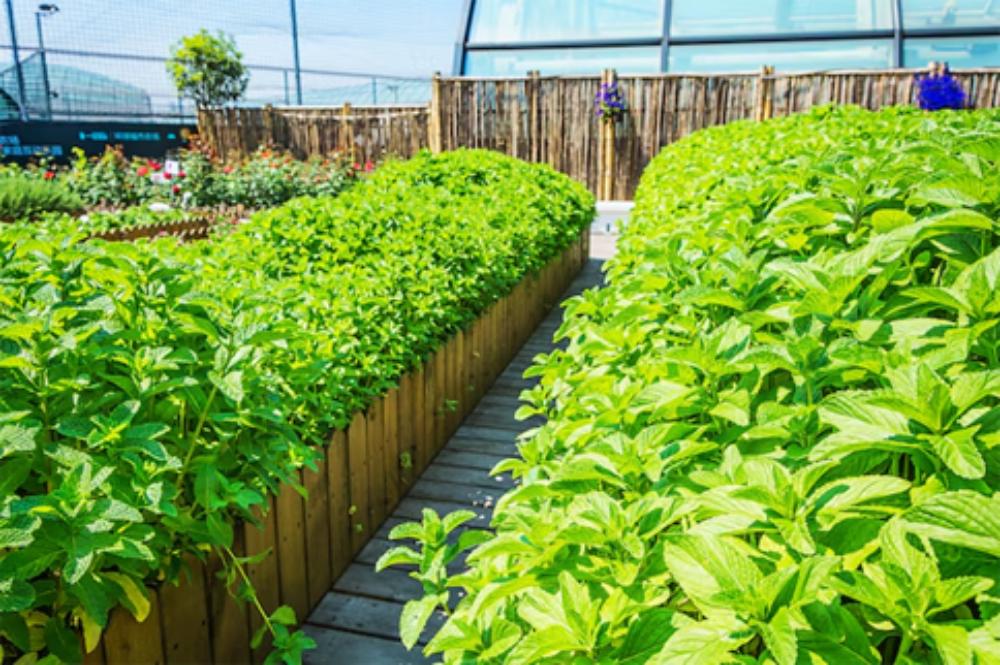 Encina Jardinería y Floristería S.L.