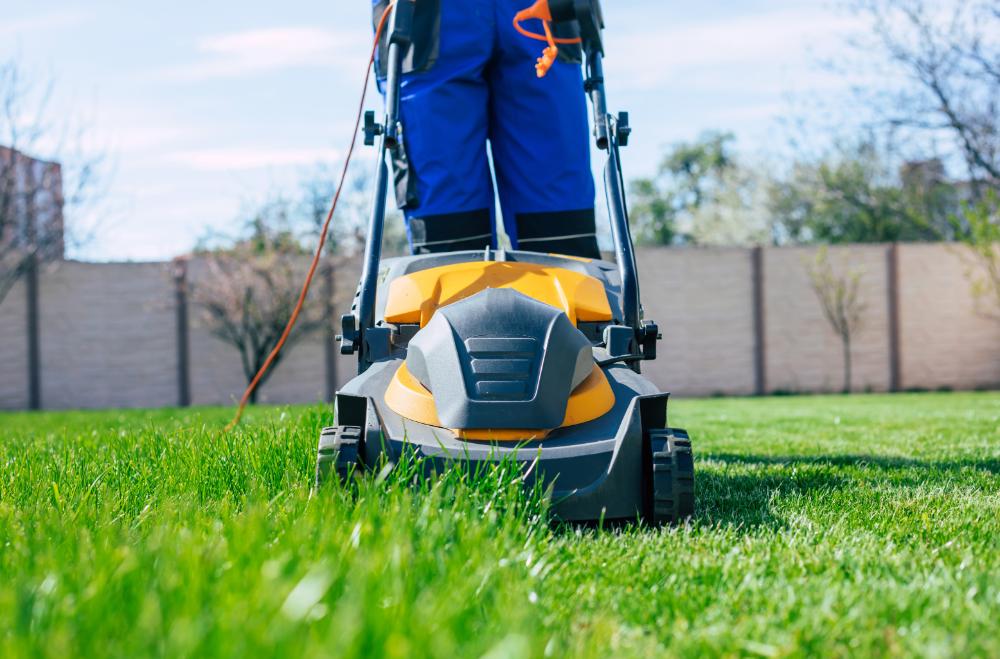 Encina Jardinería y Floristería S.L.